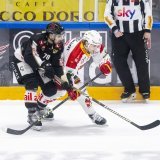 Stephane Patry (à gauche) a disputé 52 matches de National League la saison dernière avec Lugano, pour deux buts et cinq assists.
